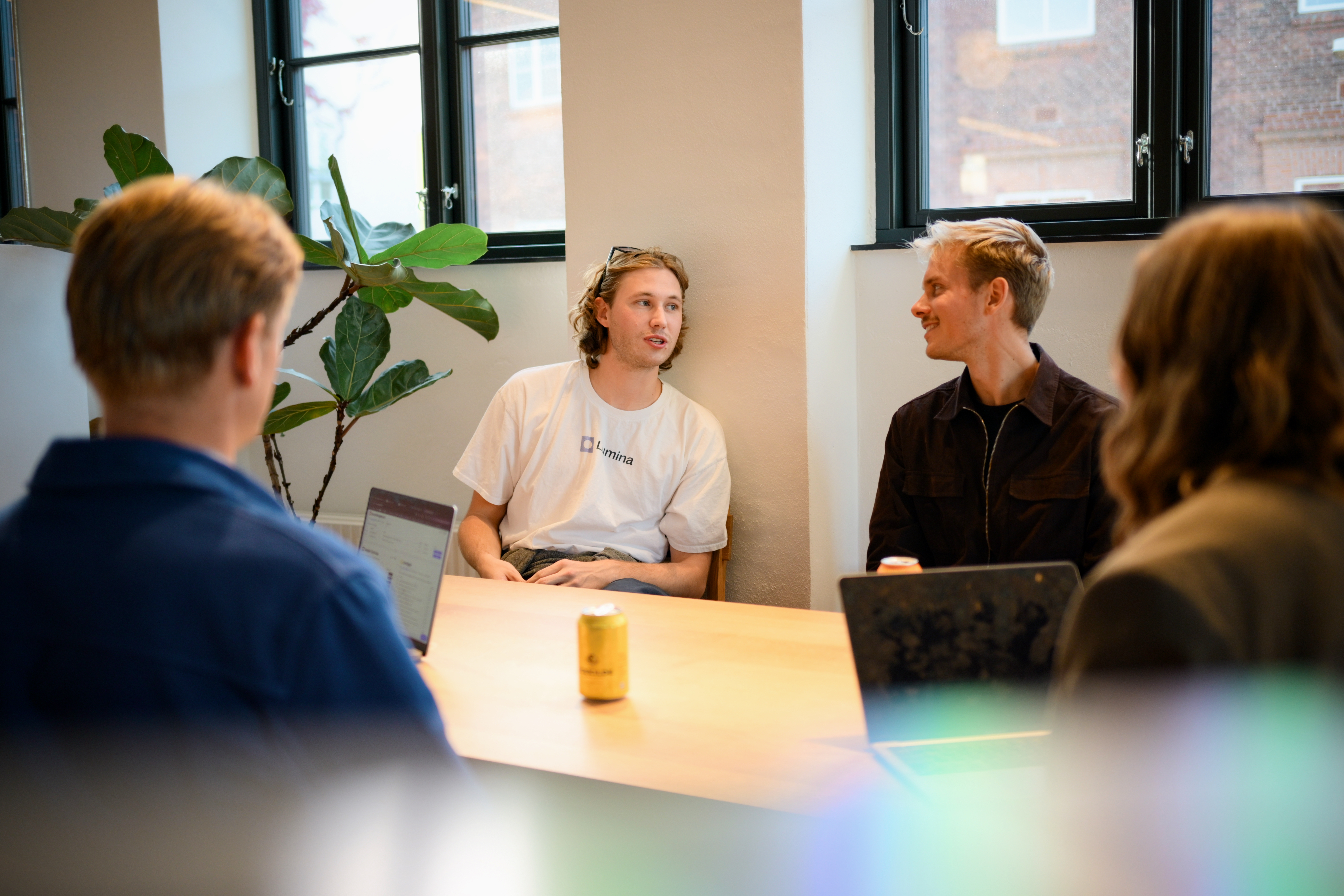 Spirii and Lumina Partnership